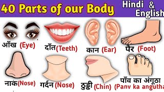 Parts of our Body  शरीर के अंगों के नाम  Hindi and English Vocabulary  The kituu world [upl. by Slocum]