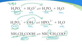 13 수용액과 화학평형 Amphiprotic Species양쪽성양성자성화학종 [upl. by Wakeen171]