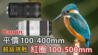 Canon 平價 RF100400mm F568 越級挑戰紅圈 RF 100500mm f4571  RF 100400 vs RF 100500 canon eosr5 [upl. by Fu913]