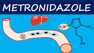 Metronidazole  How it acts  Mechanism side effects and uses [upl. by Halie787]