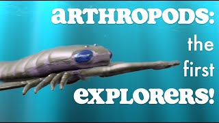 Arthropods the first explorers [upl. by Ivz64]