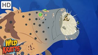 Creature Battles  Every Creature Showdown Part 12 Wild Kratts [upl. by Nodnas962]