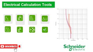 SCHNEIDER SELECTIVITY [upl. by Nara]