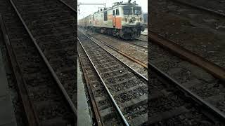 Sakarni Putty Livery WAP7 TKD Jalander city [upl. by Stormy]