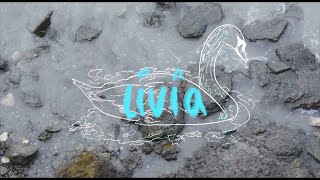 postcodes official music video  livia [upl. by Jinny]