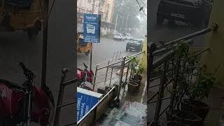 its raining time vache vache nala mabbullara rainy season rain lovelyrain mounika parsa vlogs [upl. by Amersham]