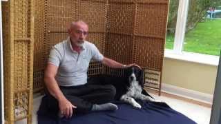 AchyPaw Dog Massage  Part 5  Warm up and cool down massage routines [upl. by Ayikal]