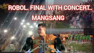 footbol final with concert [upl. by Leigh]