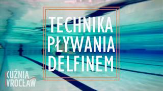 Technika pływania delfinem w czterech krokach [upl. by Nerti470]