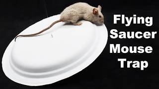 The Flying Saucer Mouse Trap A Hilarious DIY Paper Plate Trap That Works Mousetrap Monday [upl. by Ferdinand]