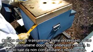 Officina delle Api i quotnemiciquot delle api vol 1 la varroa [upl. by Kcirddet]