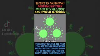 🤯Nothing is moving in this Image Its just an illusionRemeber this shorts viral trending [upl. by Eradis105]