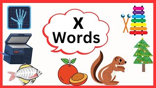 Letter XWords that START WITH letter X learn Alphabets Phonics  kids learning videos [upl. by Demeter]