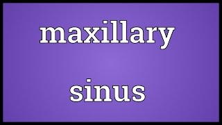 Maxillary sinus Meaning [upl. by Zink466]