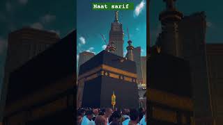 Islamic short viralvideo Sksafonealli MSAofficial shorts viralvideo share 🌹🌹 [upl. by Lachus]