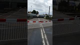 What are the odds at Helpston level crossing [upl. by Eeruhs]