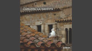 Carlota la Gaviota [upl. by Sherlocke]