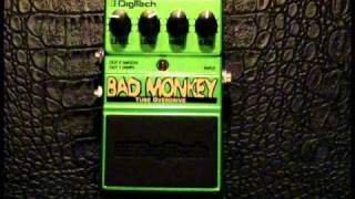 Digitech Bad Monkey [upl. by Shari]