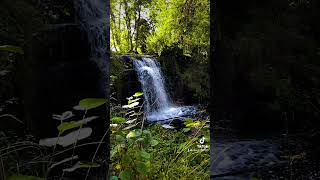 Slow motion waterfall Roche Abbey Maltby [upl. by Atekan]