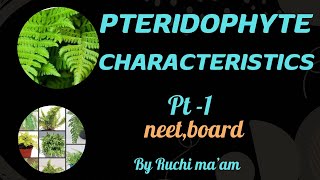 Pteridophytes general featuresclass 11cbseboardsneet [upl. by Nadeen]