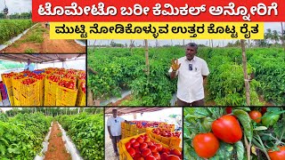 ಟೊಮೇಟೊ ಬೆಳೆಯೋದು ಇವರನ್ನ ನೋಡಿ ಕಲಿಬೇಕು  Tomato farming in Karnataka  vegetable agriculture Kannada [upl. by Eirod]