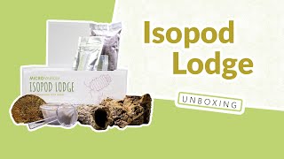 Isopod Lodge Unboxing amp Setup [upl. by Evslin]