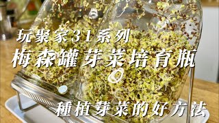 玩聚家31系列梅森罐芽菜培育瓶 種植芽菜的好方法 [upl. by Llevart]