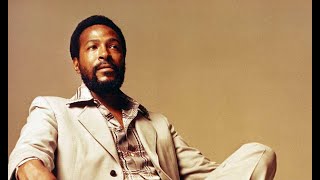 Marvin Gaye Albums Review 19711982 [upl. by Napoleon792]