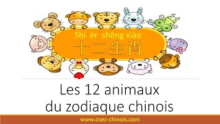 12 animaux du zodiaque chinois [upl. by Haduhey]