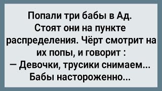 Как Три Бабы в Ад Попали Сборник Свежих Анекдотов Юмор [upl. by Maziar]