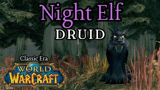 World of Warcraft Classic Era  Night Elf Druid Immersive Playthrough  Cat Form Unlocked  25 [upl. by Oran]