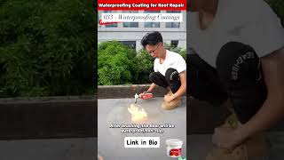 Ultimate Waterproofing Solution for Roofs Protect Your Home with Coatings [upl. by Survance317]