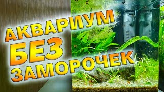 Очень простой и красивый аквариум без химии и CO2 На примере моего кубика на 30 литров [upl. by Jago]