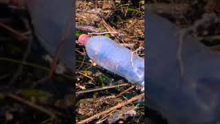 PLASTIC Pollution RAMSAR Ecosystems WHO is RESPONSIBLE [upl. by Fauman]