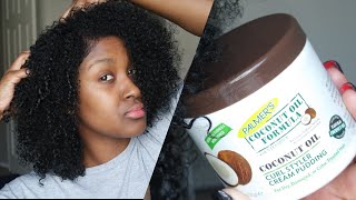 Natural Hair Wash amp Go ft Palmers Coconut Oil Curl Styler Cream Pudding  JasmineLaRae [upl. by Harley]