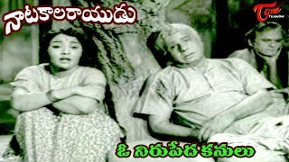 Natakala Rayudu Telugu Movie Songs  Voo Nerupeda  Nagabhushanam  Kanchana  OldSongsTelugu [upl. by Notsud]