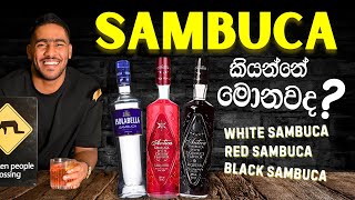 Everything You Need to Know About Sambuca  සම්බුකා ගැන ඔබ දැන ගත යුතු සියල්ල [upl. by Khalsa]