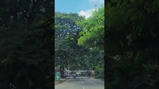 Travel Long Journey Road Side Village View shorts youtubeshorts trending 2025 new vlogger [upl. by Rillis]