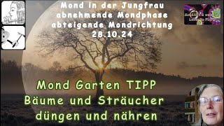 Mond Garten TIPP  Bäume und Sträucher jetzt düngen und nähren [upl. by Tindall]