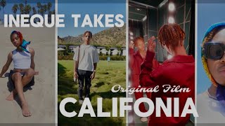 Ineque Takes California  Birthday Vlog [upl. by Cher425]