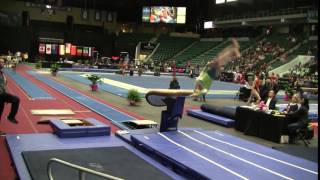 Lisa Vaelen  Vault  2017 WOGA Classic [upl. by Allen200]