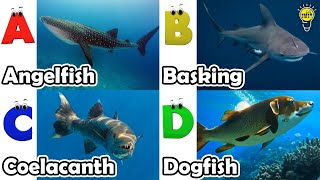 ABC phonics animals  ABC Sea Animals song  English and Animals for Kids  Alphabets Kids Song [upl. by Crompton]