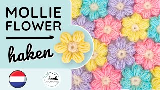 Mollie Flower haken  Haakpatroon bloem [upl. by Enorel]