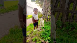 Cute baby Pihu DJ dancing 😜😜 shorts trendingshorts viralvideos funnyvideo youtubeshorts pihu [upl. by Bahe]