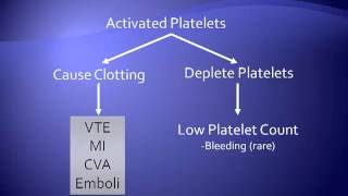 HeparinInduced Thrombocytopenia [upl. by Otila759]