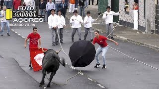 AS Melhores Touradas 2018  Parte 12 Ilha Terceira AÇORES [upl. by Block]