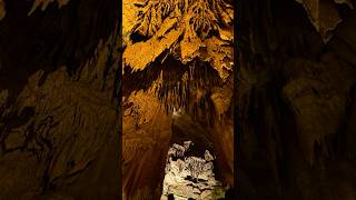 Mammoth Cave National Park [upl. by Nibla642]