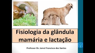 Fisiologia Da Lactação E Glândula Mamária  Mamogênese Lactogênese Galactopoese  Leite E Colostro [upl. by Nemhauser]