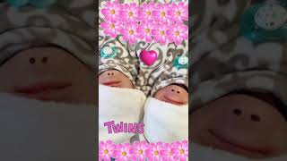 THE TWINS ROSY AND POSY ANSWER QUESTIONS funny viral [upl. by Sotos]