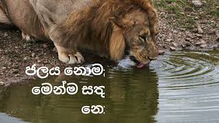 ජල සම්පත සුරකිමු I සිංහල රචනා [upl. by Carline208]